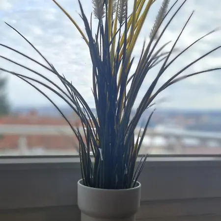 Eta * 贝尔格莱德